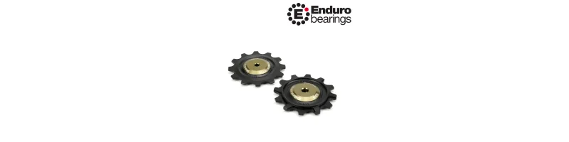 Kladky pre prehadzovačky SRAM ROAD a GRAVEL 12 zubov BKCJ-0402 ENDURO BEARINGS grafit