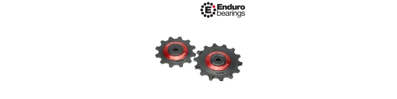 Kladky pre prehadzovačky SRAM EAGLE AXS 12/14 zubov BKCJ-0505 ENDURO BEARINGS červené