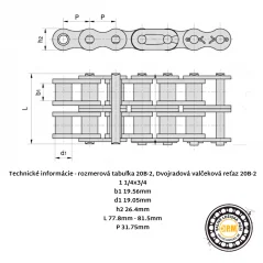 Reťaz 20B-2 RENOLD SD