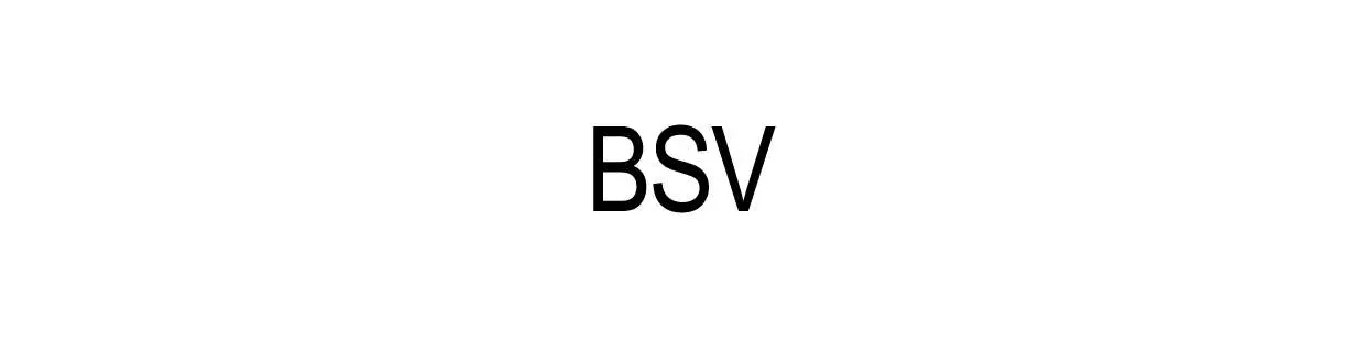 Skútrové remene značky BSV