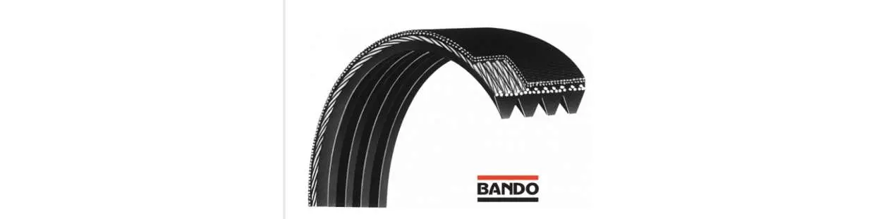 Automobilové drážkové remene BANDO